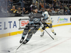 Bruins Mammoth Hockey