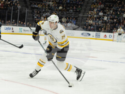 Bruins Mammoth Hockey