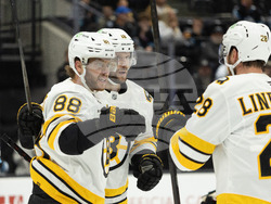 Bruins Mammoth Hockey