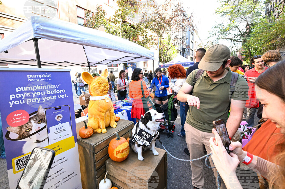 Pumpkin Pet Insurance x Tompkins Square Halloween Dog Parade in NYC