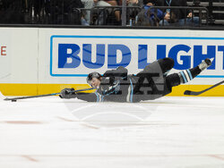 Bruins Mammoth Hockey