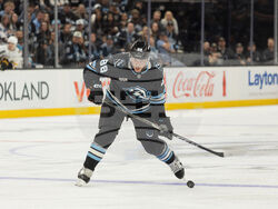 Bruins Mammoth Hockey