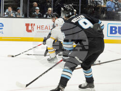 Bruins Mammoth Hockey