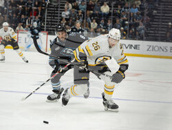 Bruins Mammoth Hockey