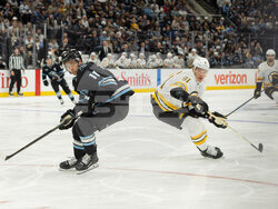 Bruins Mammoth Hockey