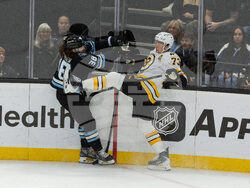 Bruins Mammoth Hockey