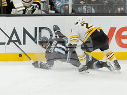 Bruins Mammoth Hockey