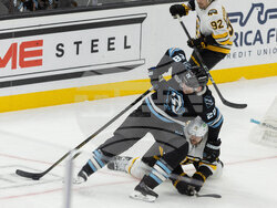 Bruins Mammoth Hockey