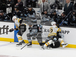 Bruins Mammoth Hockey