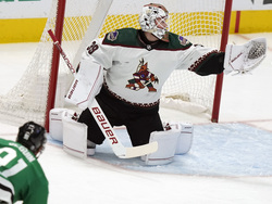 Coyotes Stars Hockey