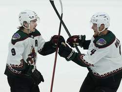 Coyotes Stars Hockey