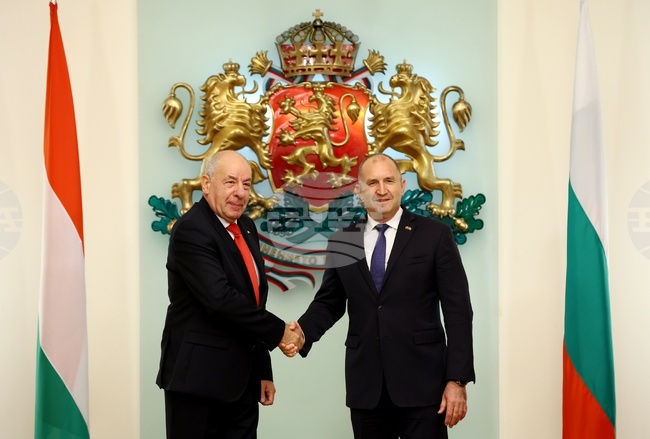Започна срещата между президентите на България и Унгария Румен Радев и Тамаш Шуйок