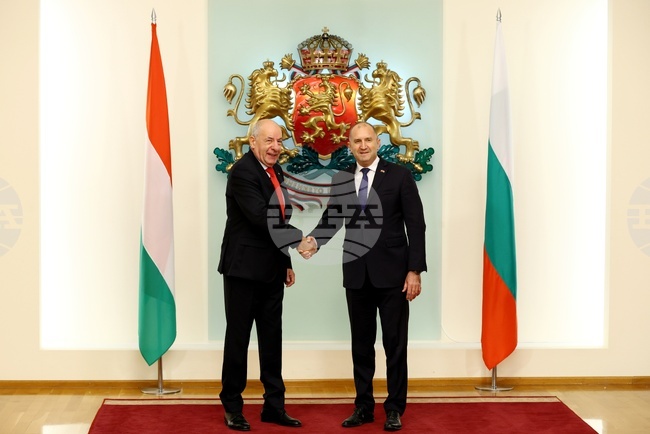 Presidents Radev, Sulyok Emphasize Friendship, Energy Links and Bulgarian Community in Hungary