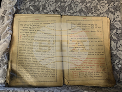 Село Шипочан - храм „Света Богородица” - изографисване