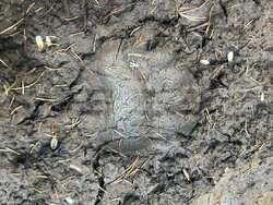 Снимка: Министерство на околната среда и водите