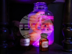 Световно първенство по ескейп стаи