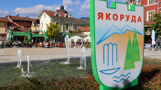 Общинските съветници в Якоруда одобриха изработване на план за изграждане на обект за производство на електроенергия в местността Буковско дере