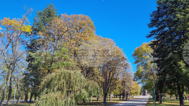 В гробищния парк на Антоново да се изгради сграда за ритуали реши Общинският съвет