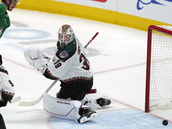 Coyotes Stars Hockey