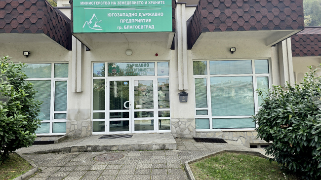 В Югозападното държавно предприятие са сменени директорите на 18 горски и ловни стопанства