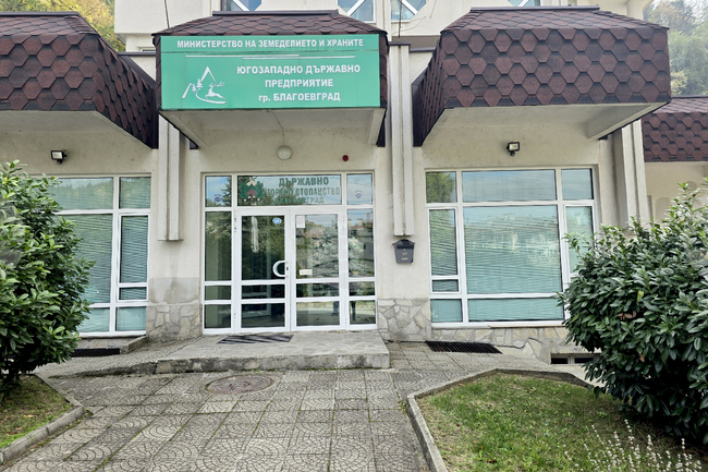В Югозападното държавно предприятие са сменени директорите на 18 горски и ловни стопанства