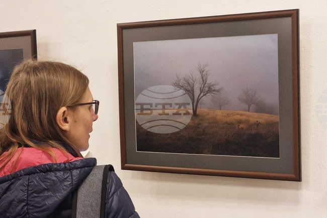 Кърджали - Художествен отдел „Станка Димитрова“- откриване 