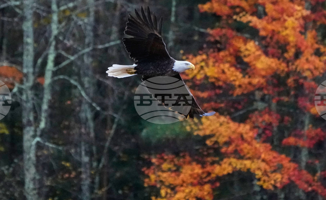 APTOPIX New Hampshire Daily Life