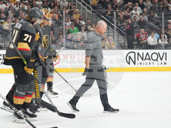 Hurricanes Golden Knights Hockey