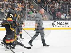 Hurricanes Golden Knights Hockey