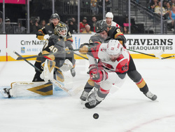 Hurricanes Golden Knights Hockey