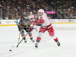 Hurricanes Golden Knights Hockey