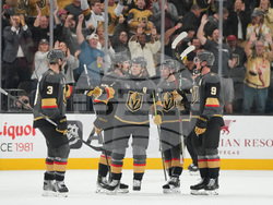 Hurricanes Golden Knights Hockey