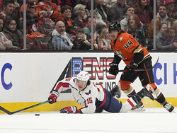 Capitals Ducks Hockey
