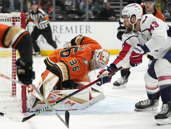 Capitals Ducks Hockey