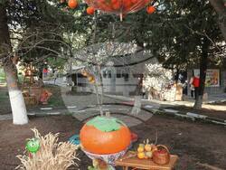 Снимка: Архив на НЧ „Стефан Генчев – 1901 г.” с. Хрищени