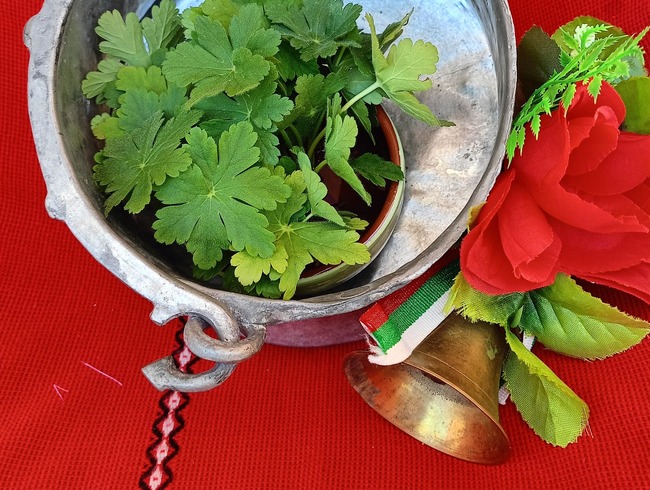 Със здравец и звън на училищен звънец беше открита учебната година в Българското училище „Азбукарчета“ в Торехон де Ардос, Испания