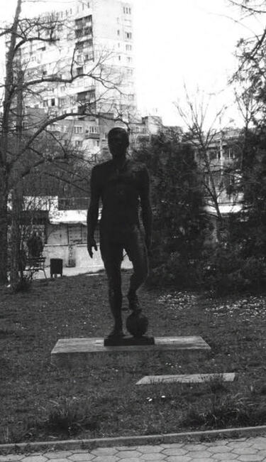 Столичен общински съвет: Паметник на Георги Соколов – Соколето да бъде поставен в столичния квартал „Иван Вазов“