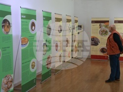 Русе - „Местна кухня в четири сезона“ - изложба