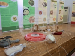 Русе - „Местна кухня в четири сезона“ - изложба