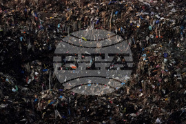 Climate Choices Food Waste