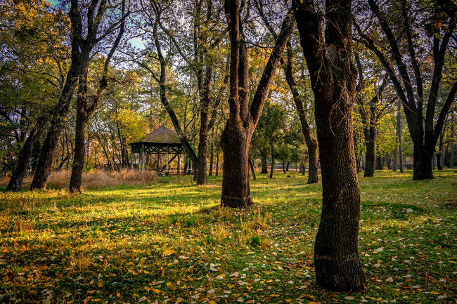 Столична община: Кметът Васил Терзиев подписа споразумение за разширяване на сътрудничеството с Военната академия