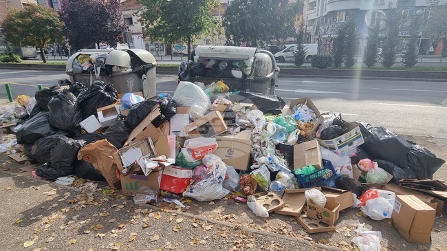 Prosecutor's Office in Skopje Indicts Ex-Director of Communal Hygiene for Endangering Environment with Waste