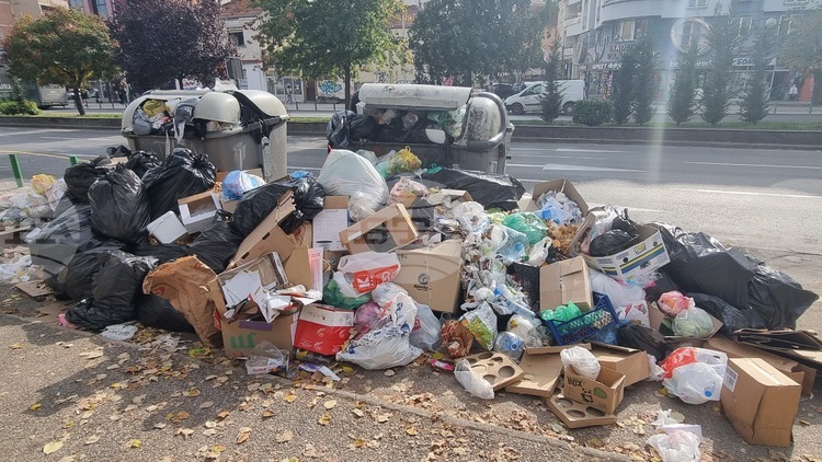 Prosecutor's Office in Skopje Indicts Ex-Director of Communal Hygiene for Endangering Environment with Waste