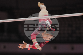 Indonesia Gymnastics World