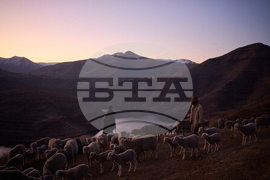 Lesotho USAID Cuts Photo Essay