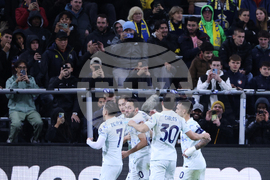 Belgium Soccer Champions League