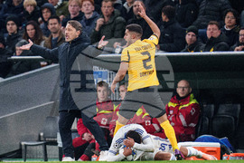 Denmark Soccer Champions League