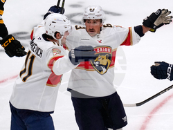 Panthers Bruins Hockey