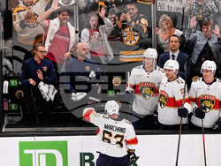 Panthers Bruins Hockey