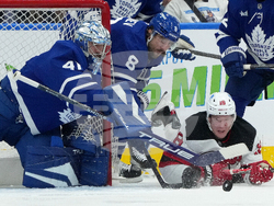 Devils Maple Leafs Hockey